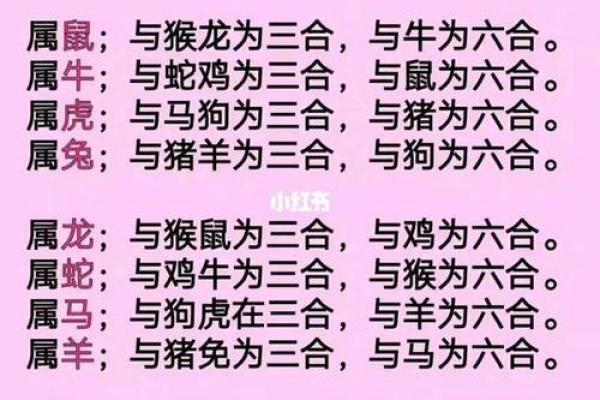 鼠男和虎女婚配是否合适？解析生肖配对中的性格冲突与调和之道