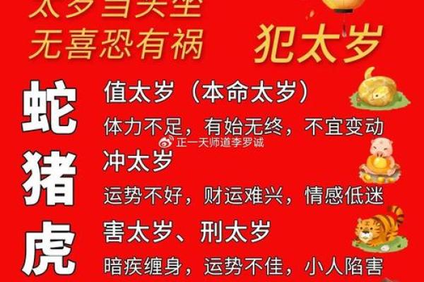 犯太岁年 犯太岁年份