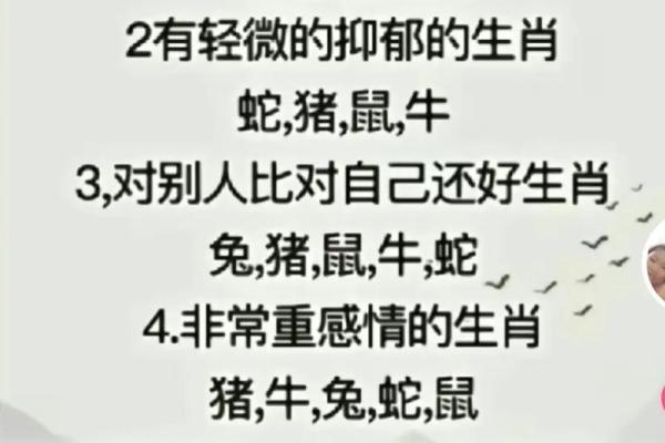 多愁善感是什么生肖 多愁善感打一生肖准确答案
