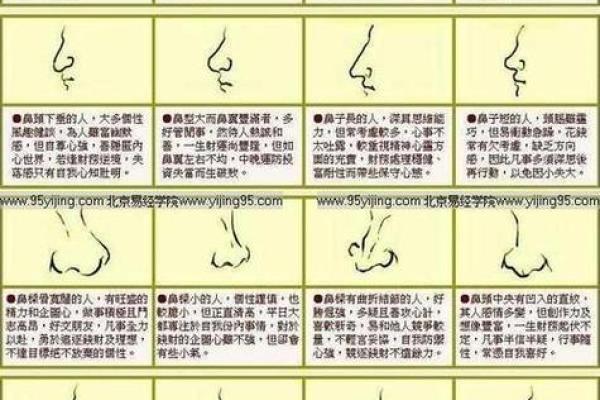 看女相算命图解,面相算命图解大全五官