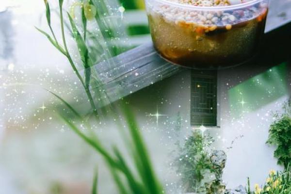 ‌午后时光是什么生肖 → 马（马饮午阳，悠闲时光）‌