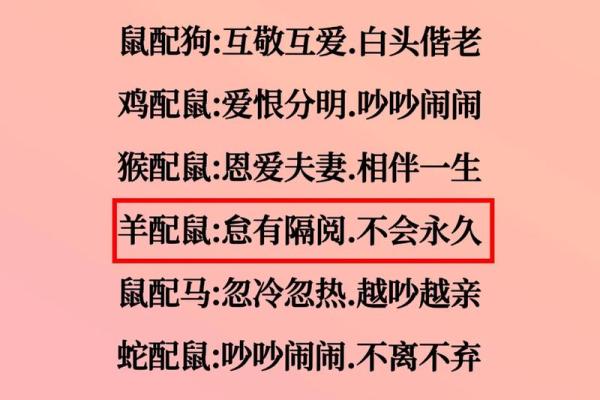 属鼠的人与哪些生肖婚配能够获得最幸福的婚姻生活 属鼠的人与哪些生肖婚配能够获得最幸福的婚姻生活