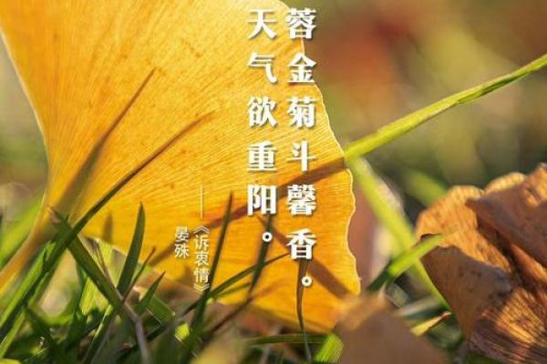 九月九日意义和象征(9月9日有什么特殊含义)