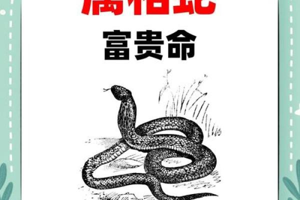 属蛇的人今日运势-360星座网(属蛇今日运势每日更新)