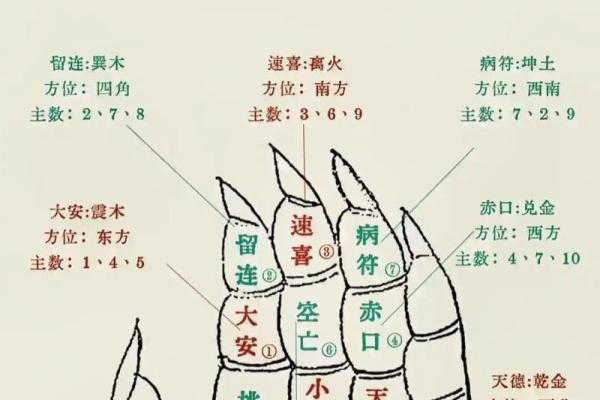 掐指一算口诀(掐指一算口诀完整版)