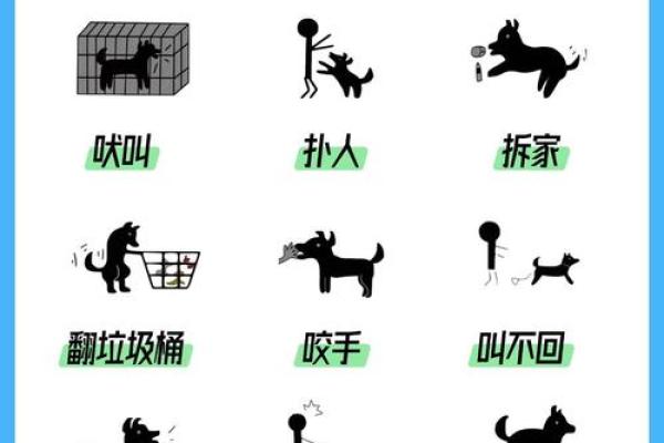 养两只狗不吉利怎么破 养两只狗不吉利怎么破解方法