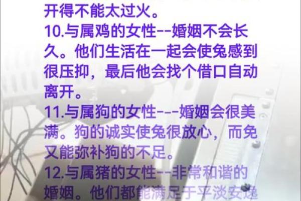 从生肖角度分析1999年兔与2000年龙婚配的优缺点