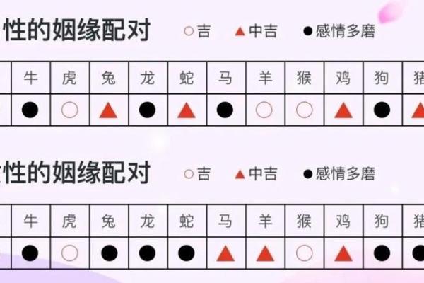 属龙的人找对象最适合的生肖配对有哪些 属龙的人找对象最适合的生肖配对有哪些
