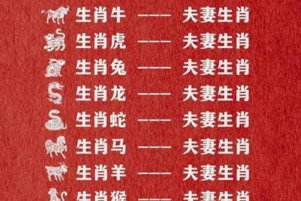 1998年属什么生肖的最佳配偶 1998年属什么生肖的最佳配偶2001
