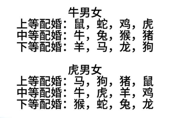 69年属什么生肖配对最佳 69年属什么生肖配对最佳婚姻