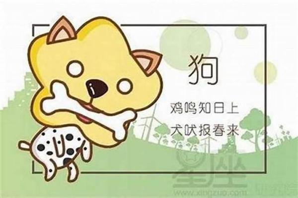 属蛇和属狗的婚姻配对如何？性格合不合？