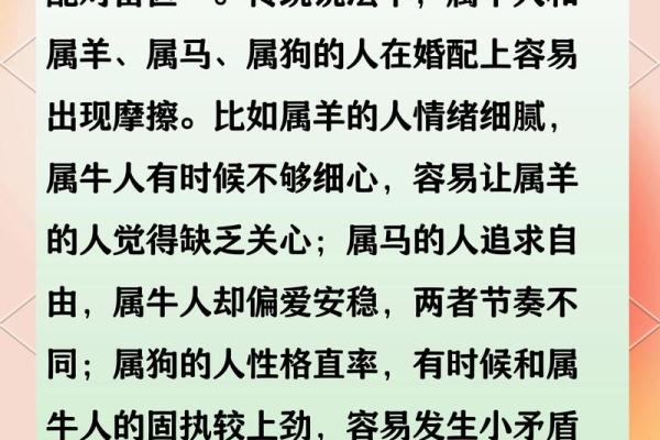 属牛的人最佳婚配属相是哪些，婚姻能幸福吗