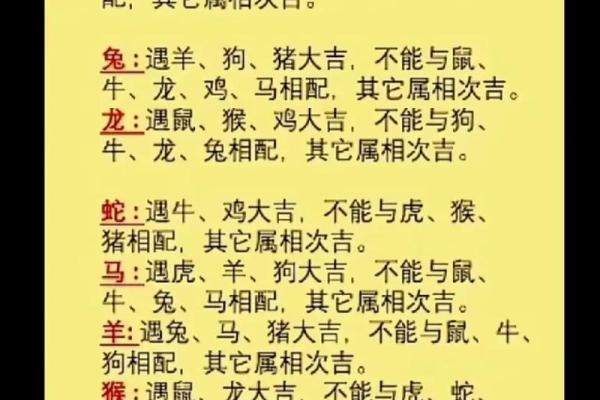 听说龙马婚配是大忌，想了解具体原因及如何化解婚姻中的不合