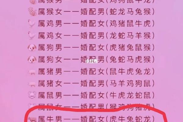 听说龙马婚配是大忌，想了解具体原因及如何化解婚姻中的不合