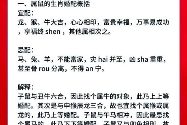 鼠女比男牛大一岁婚配是否合适？生肖配对与年龄差异分析