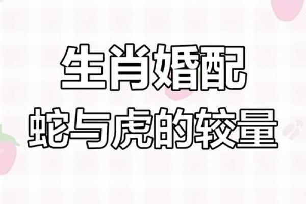 男虎女蛇结婚真的会相克吗？从生肖配对看婚姻结局