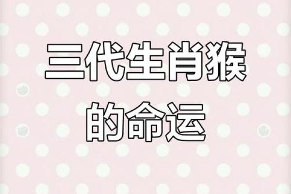 男蛇女猴结婚后会面临哪些性格和运势方面的挑战？