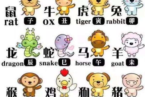 五代同堂”指的是哪个生肖动物？着个说法的由来和家庭寓意是什么？
