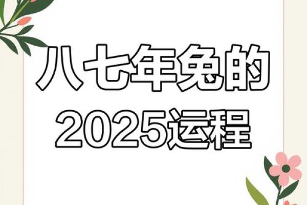1987年属兔的人在哪一年离婚的概率最高，如何避免？