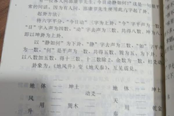 邵伟华四柱算命(邵伟华四柱预测学入门视频)