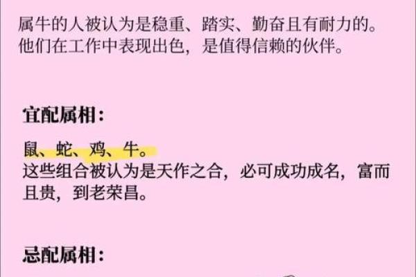 属鼠男性最佳婚配属相是哪几个生肖组合 属鼠男性最佳婚配属相是哪几个生肖组合