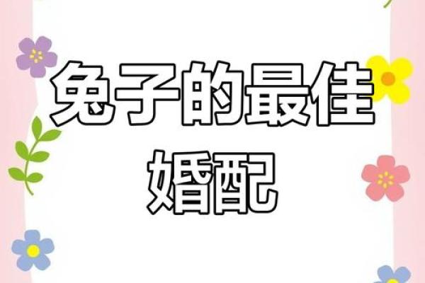 属狗的人和属兔的人在婚姻配对中是否真的合适呢？