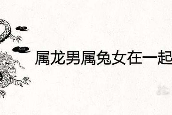 属兔和属龙的婚姻配对需要注意哪些关键问题？