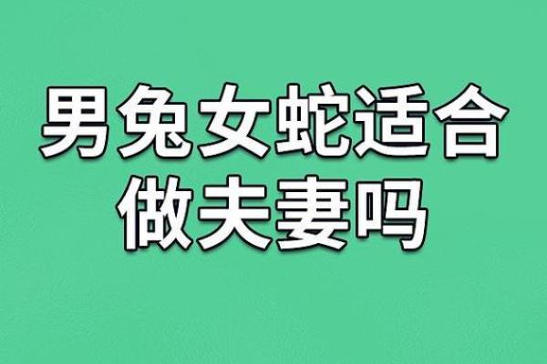 兔男和什么生肖女最配？详细解析最佳婚配组合