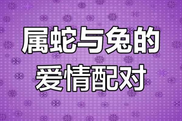 男龙和女兔的婚姻结局如何？真实案例与命理分析