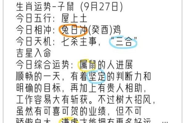 属鼠人2025年财运事业健康感情全方位运势解析