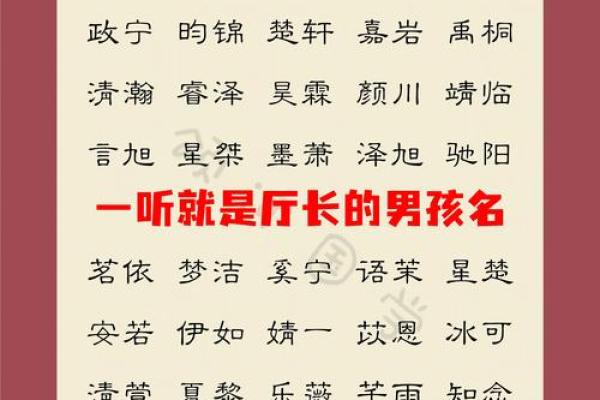 2025年属蛇男孩取名最佳用字推荐与寓意解析