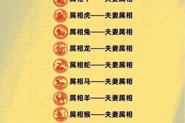 属龙男性与哪些生肖女性结婚最幸福长久