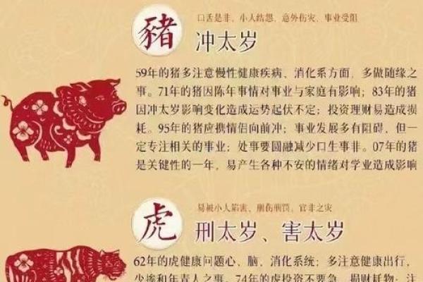 太岁是什么样的 换太岁是什么意思啊