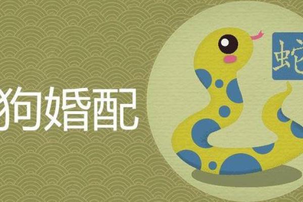 属蛇男和什么属相最配婚姻幸福长久