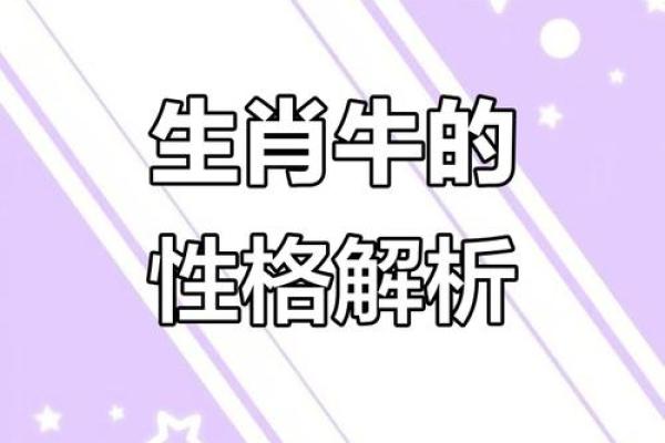 1997年属牛人的正缘会在哪一年出现，有何特征？