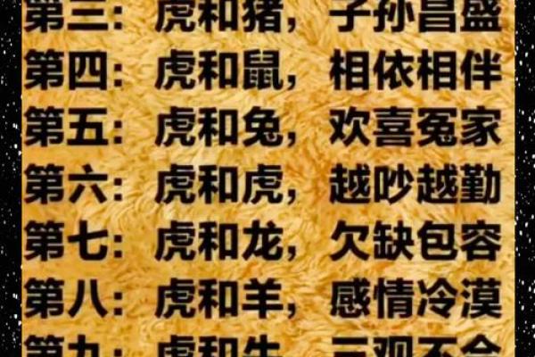 属牛和属虎的婚姻相配吗？深入分析生肖配对优缺点