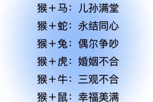 属蛇和属马的人结婚好吗？从性格和生肖配对角度分析婚姻契合度