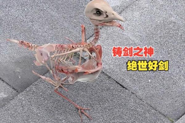 悬剑空垄打一动物