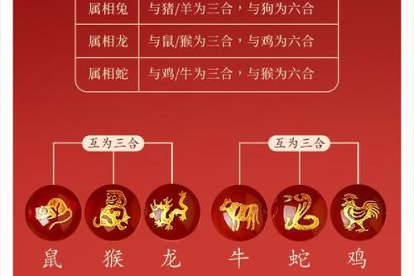 从生肖五行解读男猴女蛇为何被称为天作之合，性格互补优势