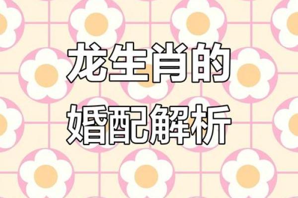 2000年属龙女生最佳婚配生肖配对详细解析