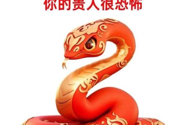 属蛇的异性贵人在哪个年龄段最容易出现和相遇