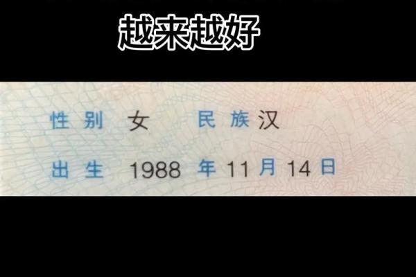 1988年出生的龙女今年感情运程详解，正缘何时出现？