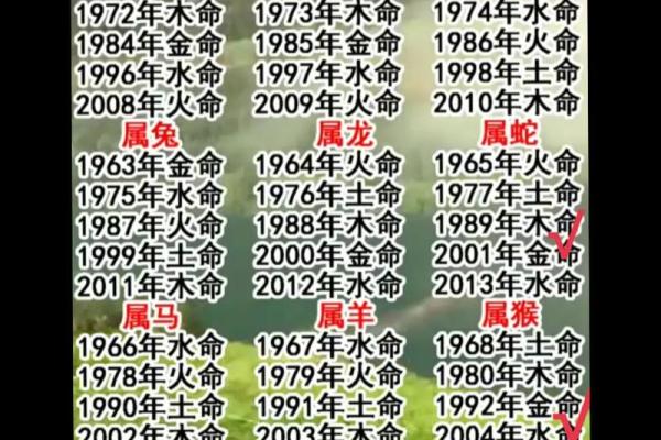 属猪和属牛的人结婚好吗？深入解读两者性格契合度与婚后相处建议