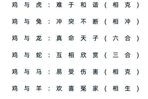 属猪和属牛的人结婚好吗？深入解读两者性格契合度与婚后相处建议