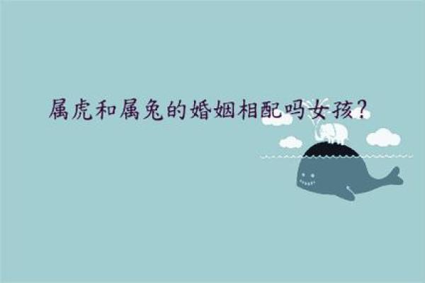 属虎的男性与什么生肖的女性结婚最幸福长久