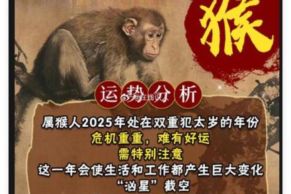 牛年出生的人和猴年出生的人在合作共事方面合不合？