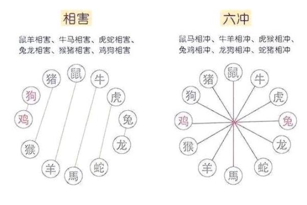 从生肖配对角度分析，龙兔结婚到底伤谁更深？该如何避免婚姻中的冲突？