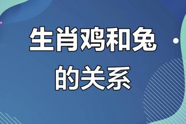男属兔的属相婚配表 男属兔的婚配最佳是什么