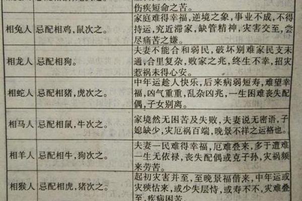 生肖鼠女大男牛一岁婚姻运势详解，传统属相婚配指南