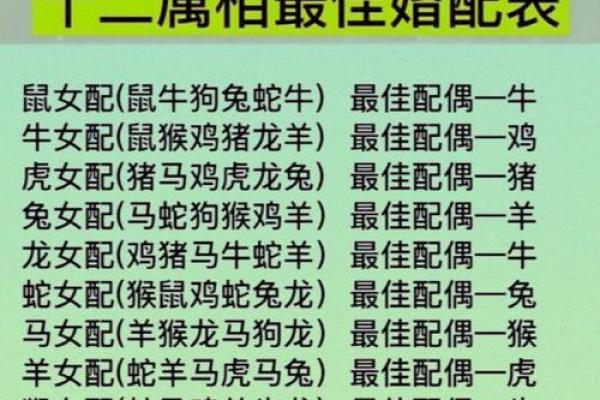 牛马属相婚配是否相合？解析传统生肖配对宜忌